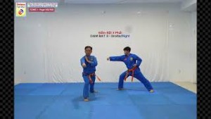 8 Thế Đấm Bật