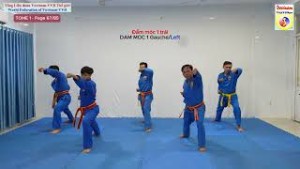 6 Thế đấm căn bản